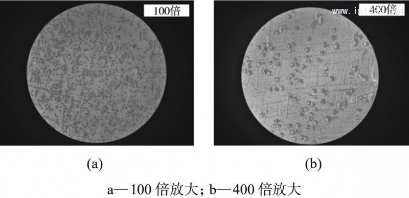 图 9　玻纤在样条截面的分散情况