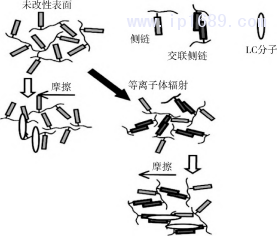 图片 9